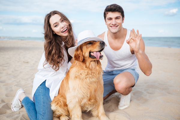 Pets and Vacation Rentals (1)