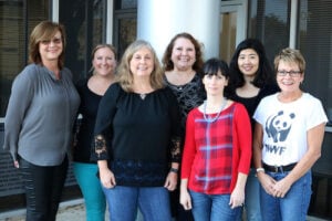 Accounting_team_pic_6x4