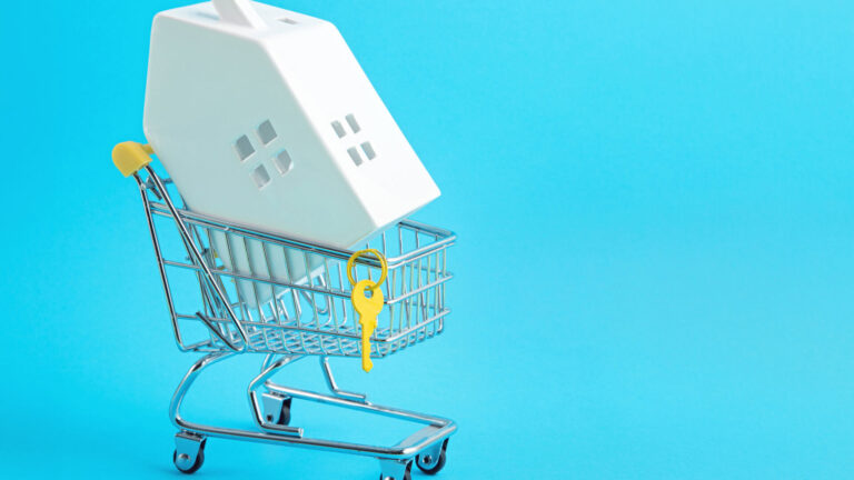 Shopping cart with model house inside